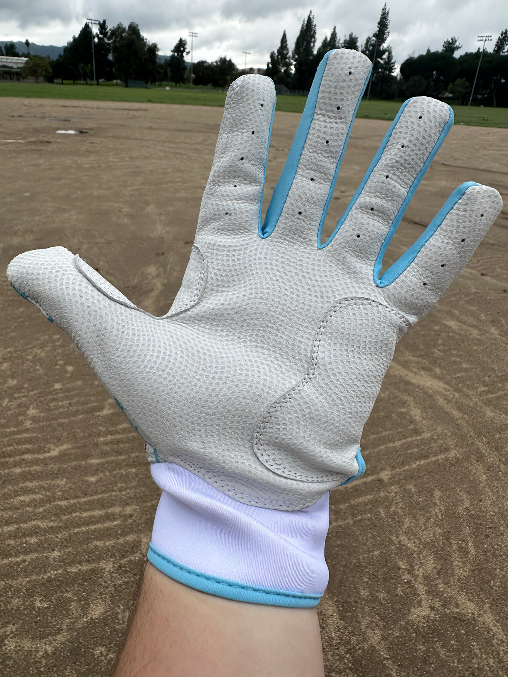 "COLD BLOODED" Batting Gloves