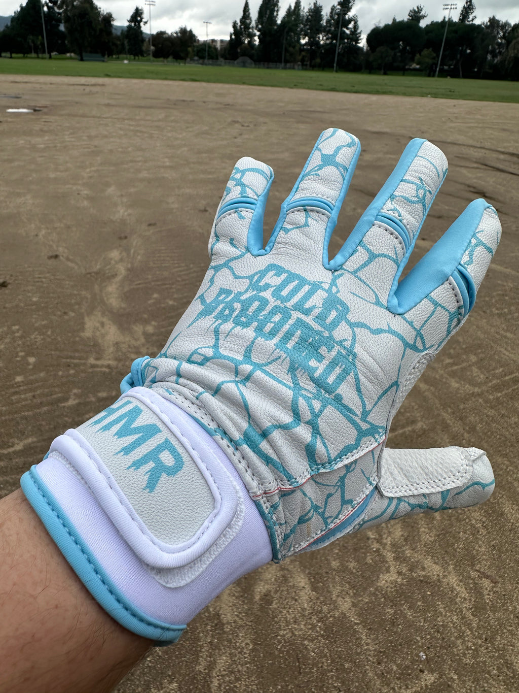 "COLD BLOODED" Batting Gloves